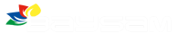 LOGO-WHITE-BAYSAM